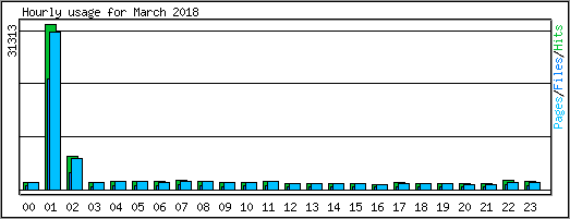 Hourly usage