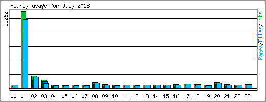 Hourly usage