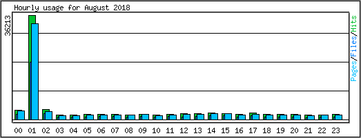 Hourly usage