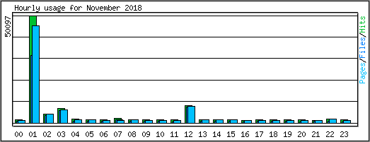 Hourly usage