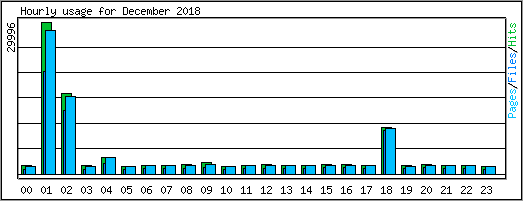 Hourly usage