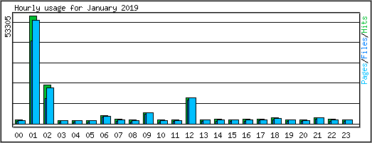 Hourly usage