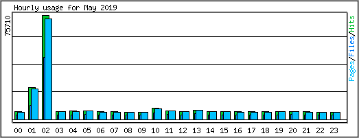 Hourly usage