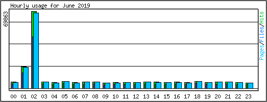 Hourly usage