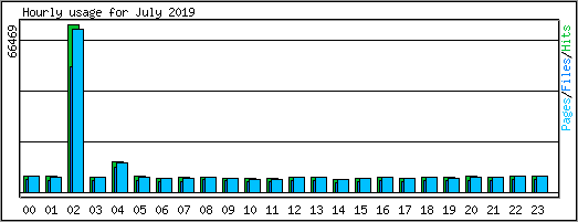 Hourly usage