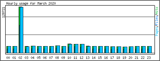 Hourly usage
