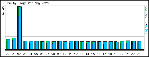 Hourly usage