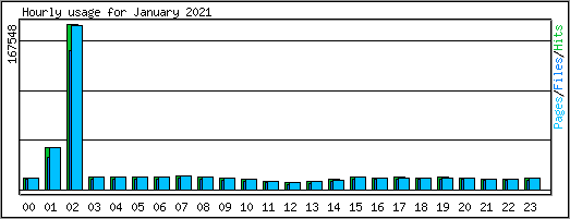 Hourly usage