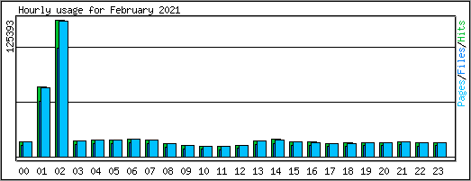 Hourly usage