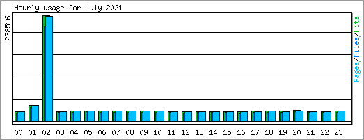 Hourly usage