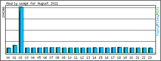 Hourly usage