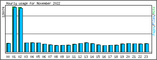 Hourly usage