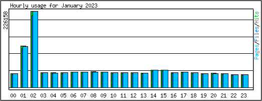 Hourly usage