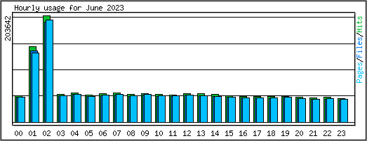 Hourly usage