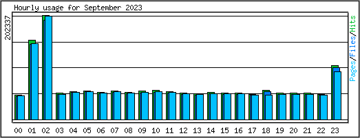 Hourly usage