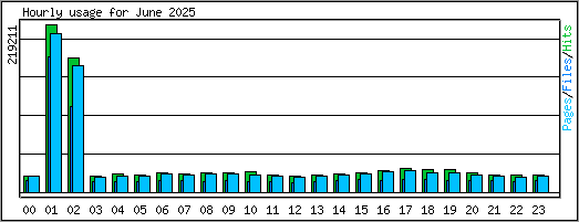 Hourly usage