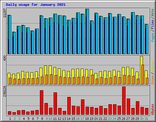 Daily usage for January 2021