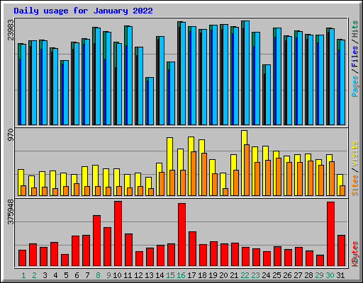 Daily usage for January 2022