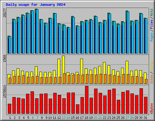 Daily usage for January 2024