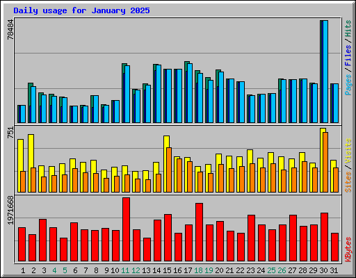 Daily usage for January 2025