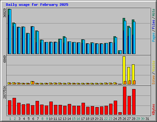 Daily usage for February 2025