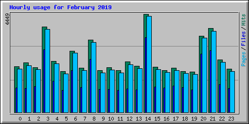 Hourly usage for February 2019