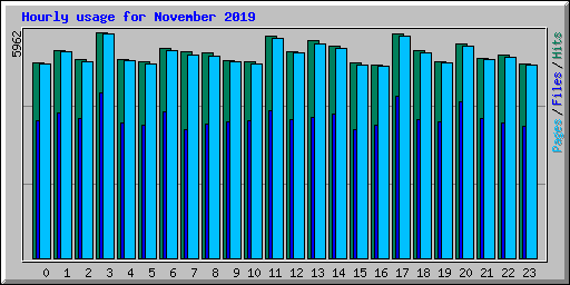 Hourly usage for November 2019