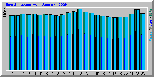 Hourly usage for January 2020