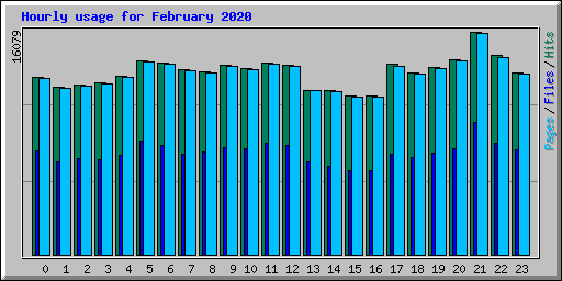 Hourly usage for February 2020