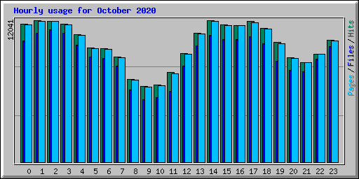 Hourly usage for October 2020