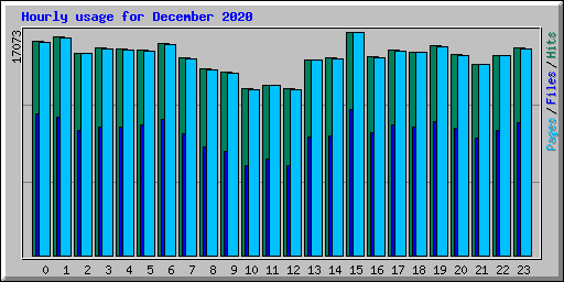 Hourly usage for December 2020