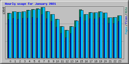 Hourly usage for January 2021