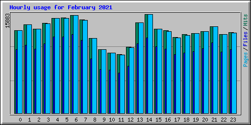 Hourly usage for February 2021