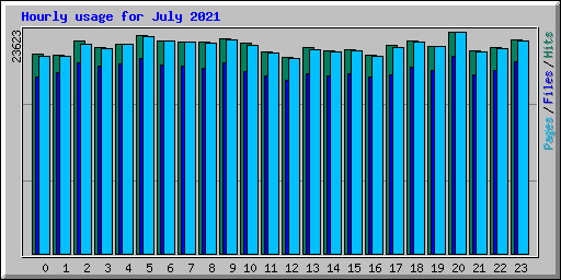 Hourly usage for July 2021