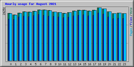 Hourly usage for August 2021