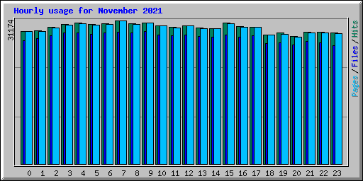 Hourly usage for November 2021