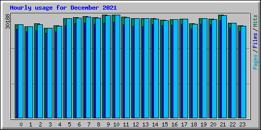 Hourly usage for December 2021