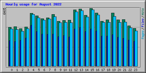 Hourly usage for August 2022