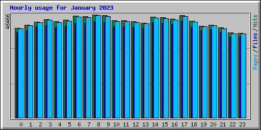 Hourly usage for January 2023