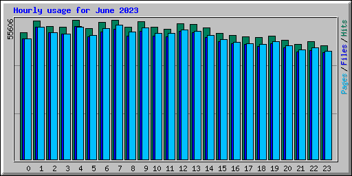 Hourly usage for June 2023