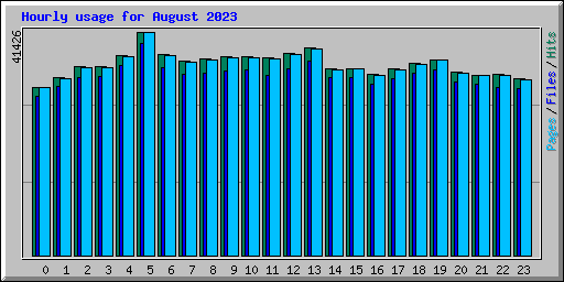 Hourly usage for August 2023