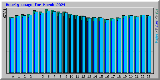 Hourly usage for March 2024