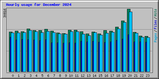 Hourly usage for December 2024