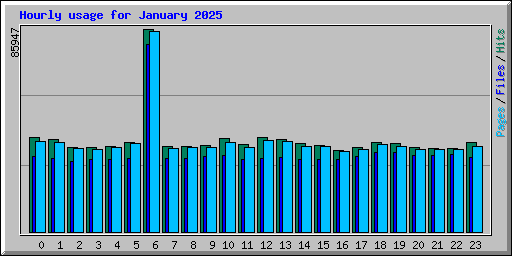 Hourly usage for January 2025