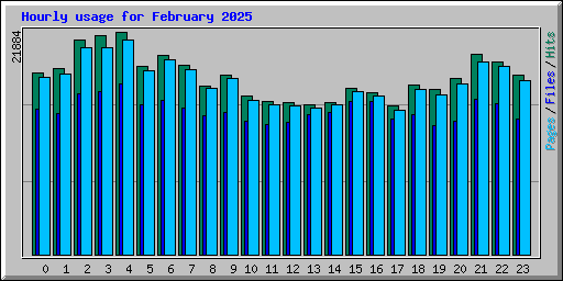 Hourly usage for February 2025