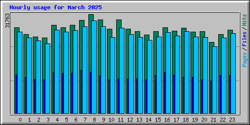 Hourly usage for March 2025